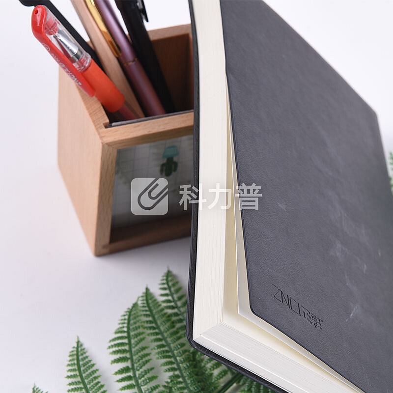 正彩(ZNCI)A5软面抄系列记事本/商务办公用品笔记本文具/会议记录本/日记本子136页 4317-A5黑色