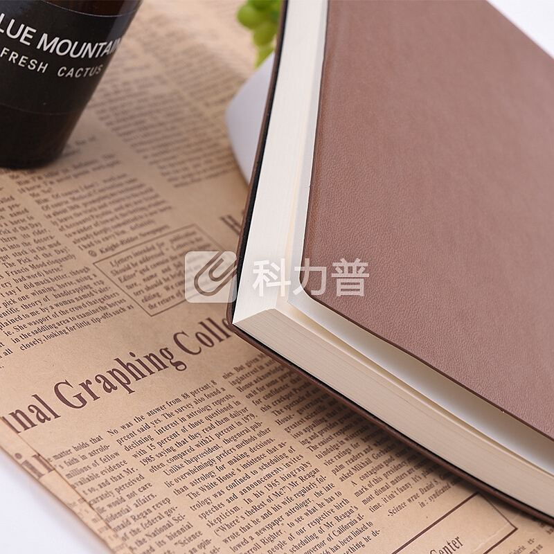 正彩(ZNCI)B5软面抄系列记事本/商务办公用品笔记本文具/会议记录本/日记本子136页 4317-B5咖啡色