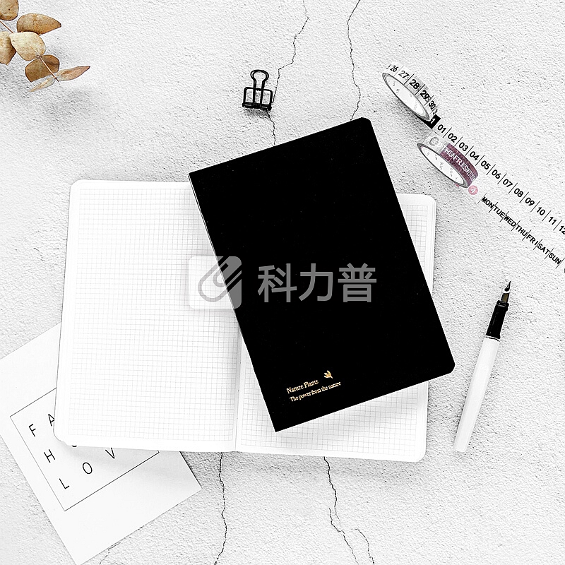 kinbor精装皮面方格手账本文具礼盒套装(日程计划手帐记事本子/钢笔/2卷和纸胶带)JOY与花DTB8040