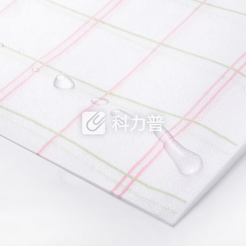 文谷(wengu)12个装A4透明按扣文件袋公文袋档案袋学生用试卷收纳袋 小清新初高中生资料袋 花名D330