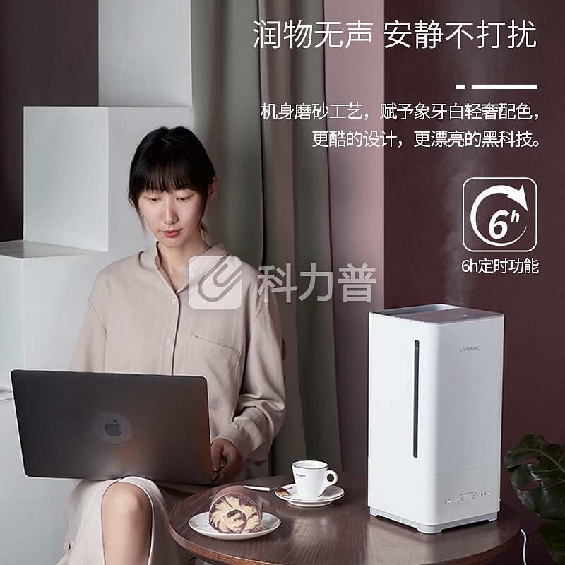 利仁(Liven)加湿器5L大容量上加水 静音卧室办公室空气净化加湿 家用迷你婴儿香薰JSQ-D50