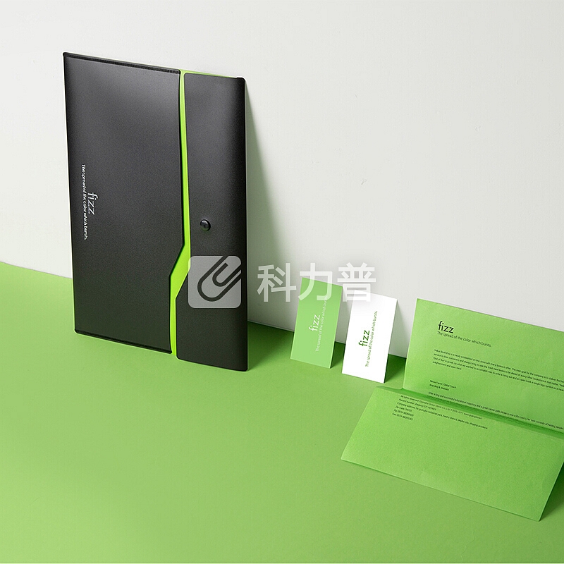 飞兹(fizz)加厚双层按扣文件袋/彩色档案袋资料袋/办公用品 绿色FZ103002