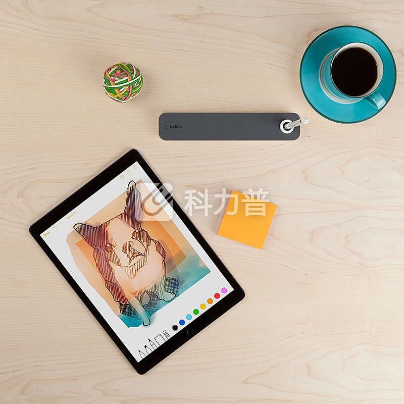 贝尔金 belkin 贝尔金（BELKIN）苹果Apple Pencil铅笔盒(支持1代2代)保护盒iPad Pro触控笔盒防丢保护笔套磁吸翻盖笔座配件