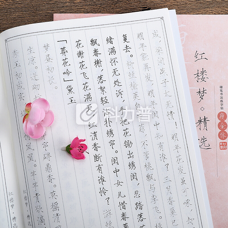 绍泽文化 瘦金体成人硬笔临摹练字帖 描红练字本10本装