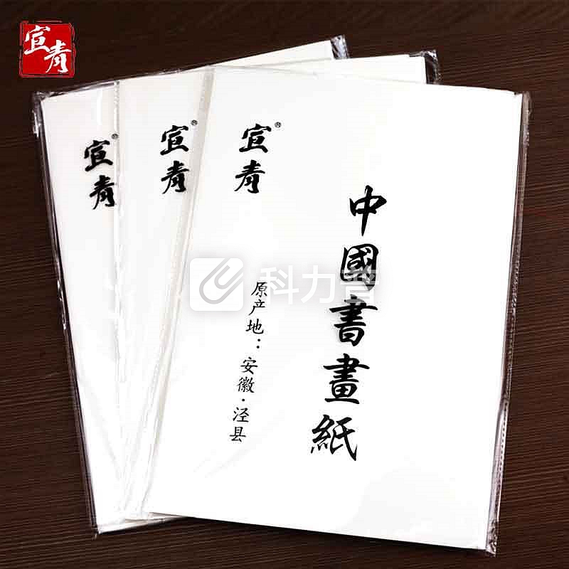 宣青 生宣纸书法国画专用作品纸工笔画小楷四尺六尺对开生宣初学者用纸毛笔字纸10开 MCCA0017