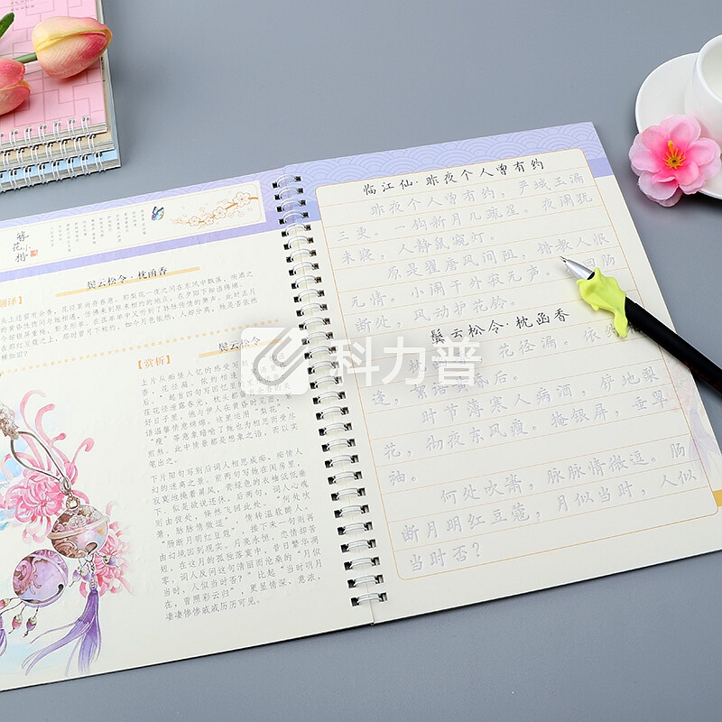 品轩阁 簪花小楷成人练字帖 4本 男生女生硬笔钢笔凹槽练字本