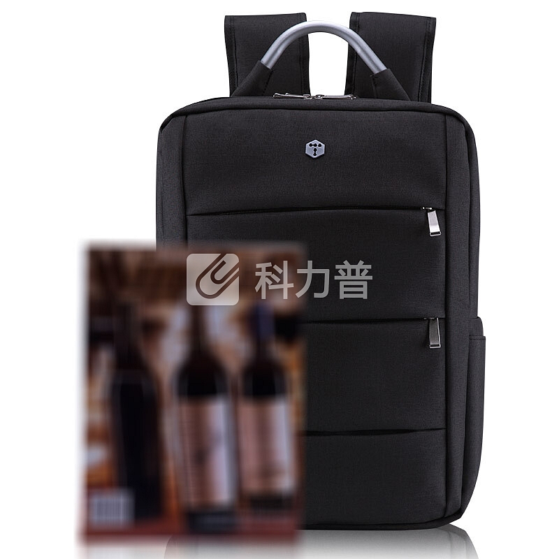 泰若（Taero）双肩背包 防水面料通用商务休闲双肩包笔记本电脑包 15.6英寸 9905 黑色