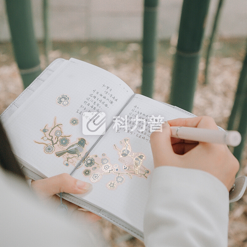 kinbor×知否 钢笔文具礼盒套装(EF明尖签字墨水笔/吸墨器/墨囊) 喜上眉梢(粉)DTB6532