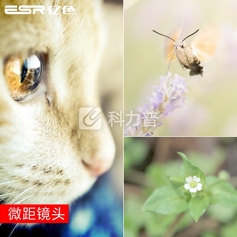 亿色(ESR)广景系列手机镜头 高清自拍外置单反摄像头抖音神器套装苹果华为广角微距鱼眼【广角+微距+鱼眼】
