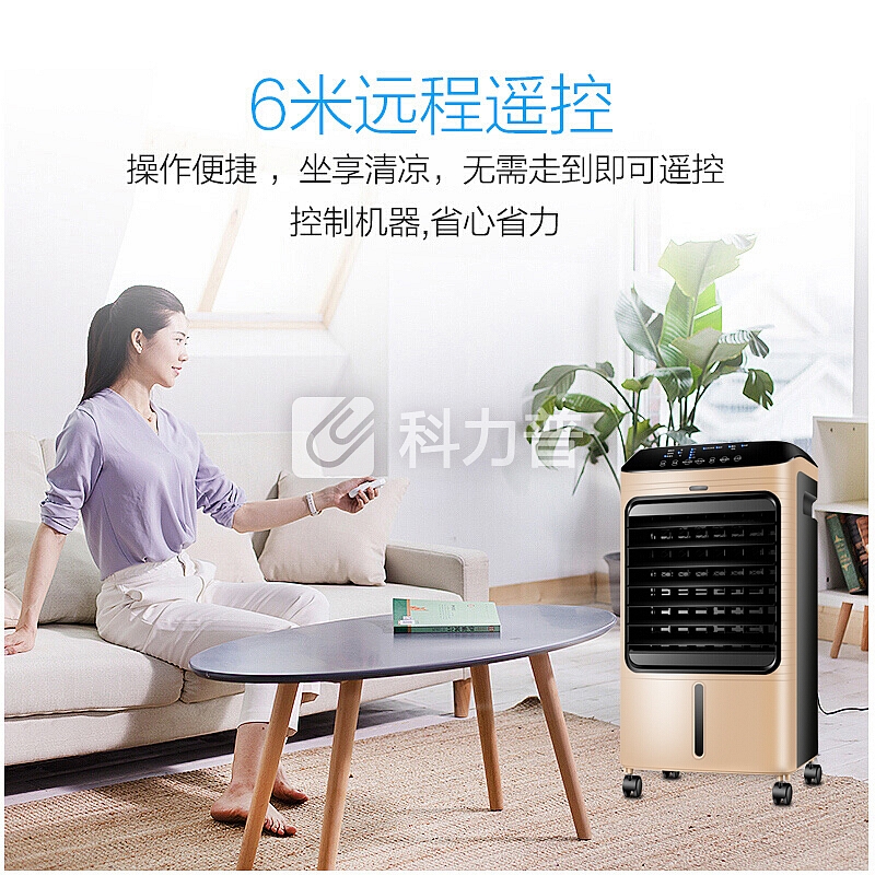 康佳(KONKA)遥控冷暖两用空调扇/移动制冷风扇/水冷空调扇/冷风机/电风扇/取暖器 KH-LNS1603Y-D金色
