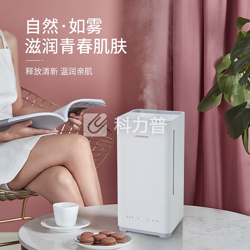 利仁(Liven)加湿器5L大容量上加水 静音卧室办公室空气净化加湿 家用迷你婴儿香薰JSQ-D50