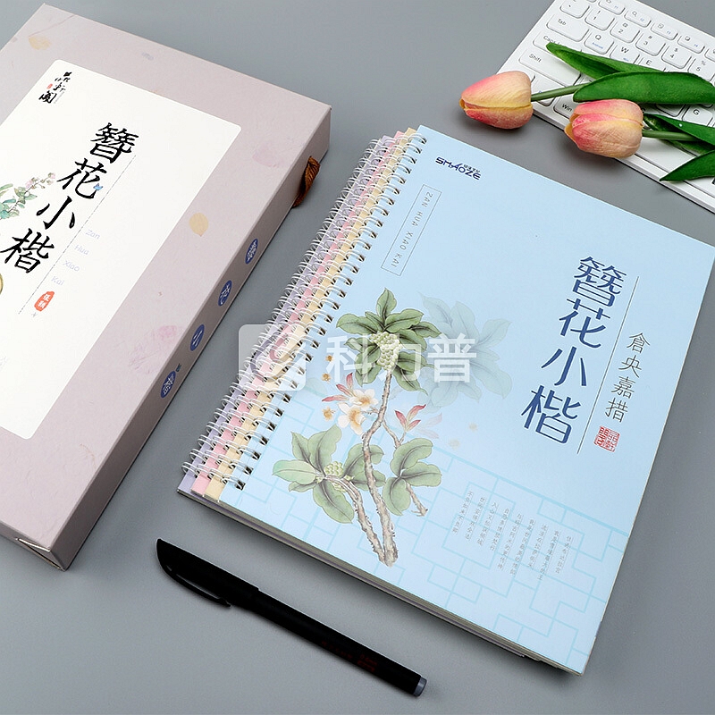 品轩阁 簪花小楷成人练字帖 4本 男生女生硬笔钢笔凹槽练字本