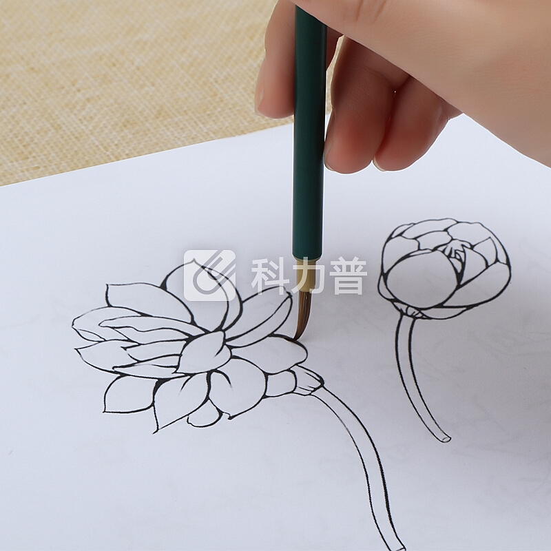 绍泽文化 善琏湖笔 叶筋勾线笔 小号 毛笔练字国画工笔画描线笔