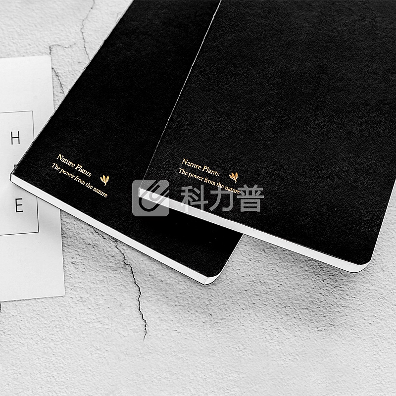 kinbor精装皮面方格手账本文具礼盒套装(日程计划手帐记事本子/钢笔/2卷和纸胶带)JOY与花DTB8040