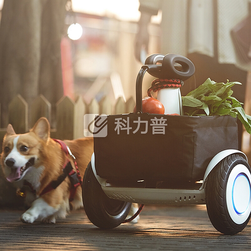 小米(MI) Ninebot九号平衡车Plus智能电动体感车