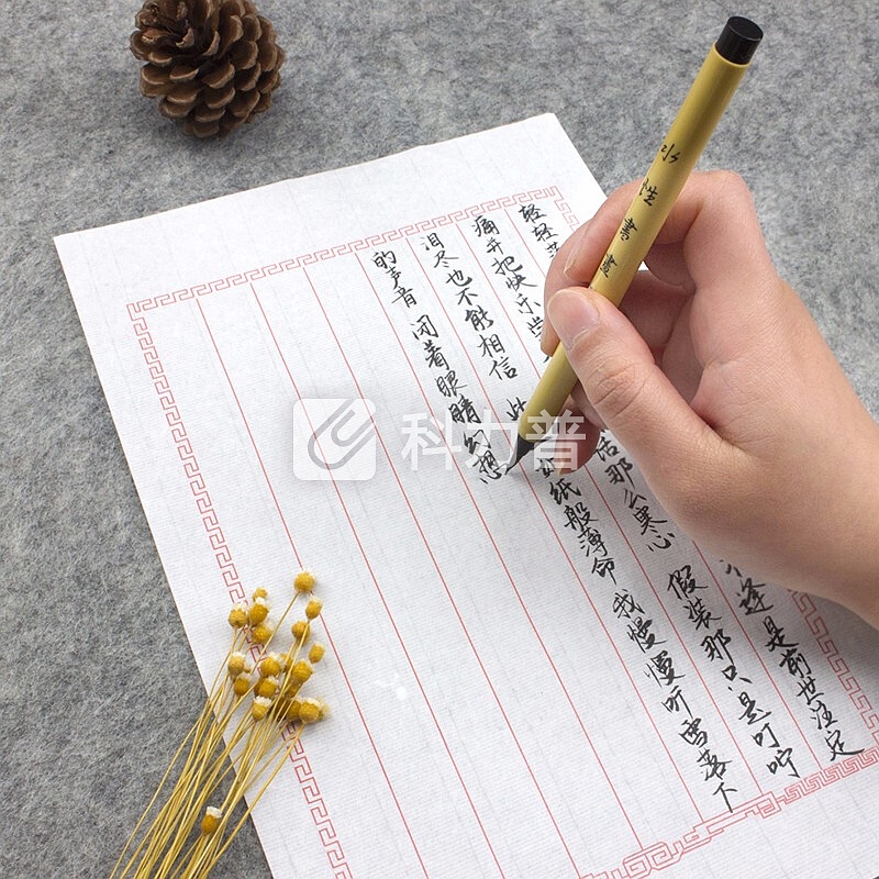 文房四宝小楷描红宣纸 兰亭序字帖入门临摹宣纸 成人初学者书法软笔 中庸(30张)