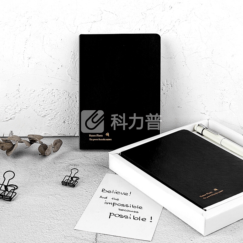 kinbor精装皮面方格手账本文具礼盒套装(日程计划手帐记事本子/钢笔/2卷和纸胶带)JOY与花DTB8040