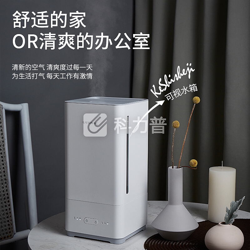 利仁(Liven)加湿器5L大容量上加水 静音卧室办公室空气净化加湿 家用迷你婴儿香薰JSQ-D50