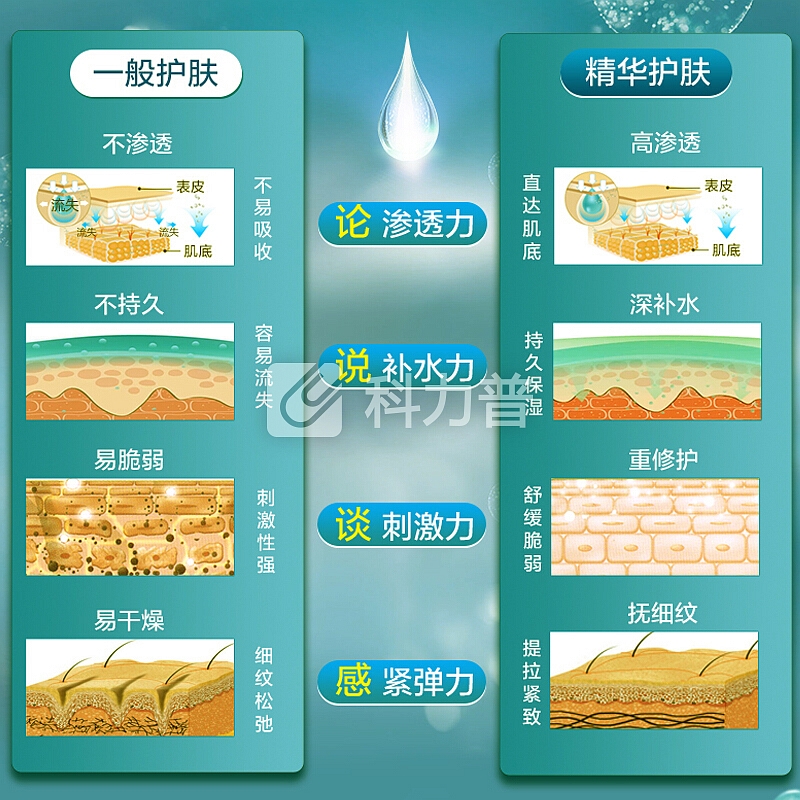 【京东自营配送】果本套装礼盒 坚果保湿补水套装《品牌爆款》 护肤品礼盒化妆品套装 坚果系列(合家欢)今日送豪华大礼包