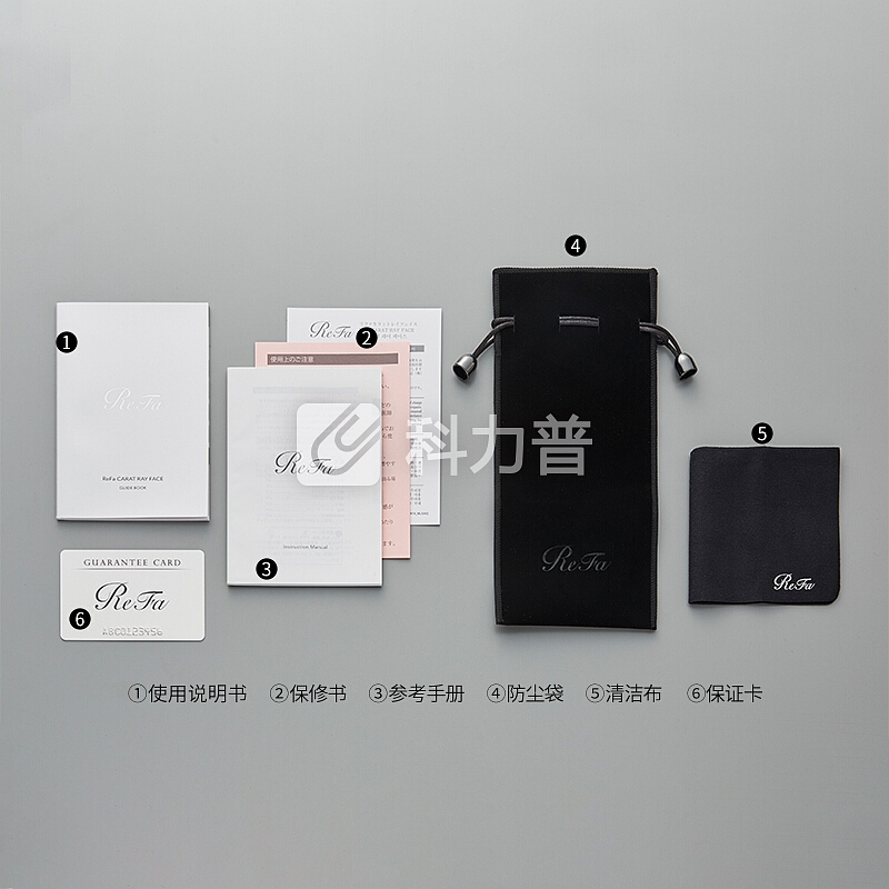 ReFa CARAT RAY 黎珐 美容仪 全身可用美容器升级款 微电流增强 铂金镀层 瘦脸瘦身舒缓皱纹 日本原装进口