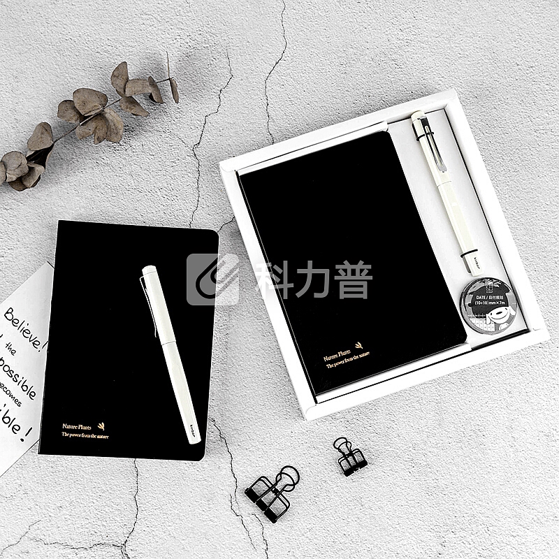 kinbor精装皮面方格手账本文具礼盒套装(日程计划手帐记事本子/钢笔/2卷和纸胶带)JOY与花DTB8040